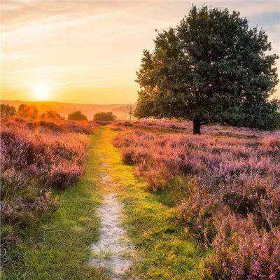 5848vip威尼斯电子游戏手机app下载